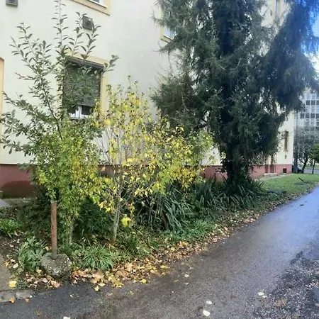 Downtown Near Center & Plaza Apartamento